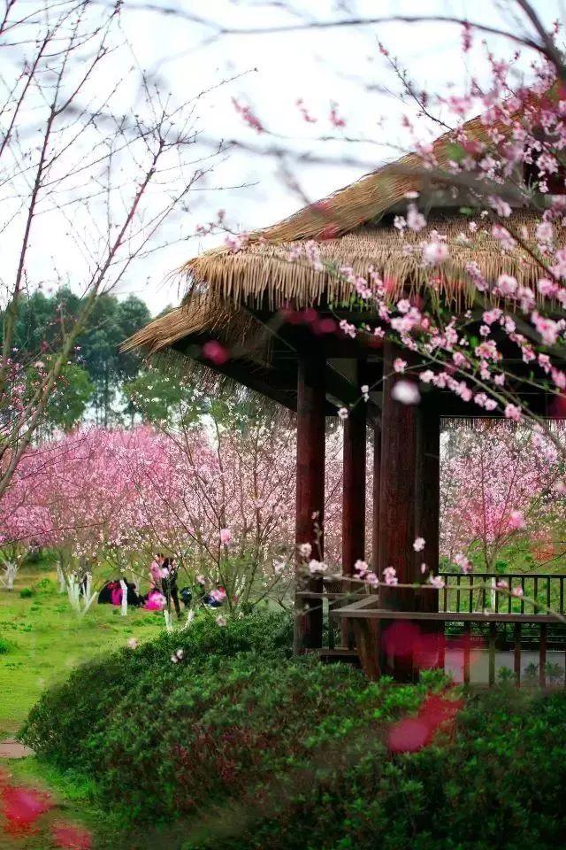 探索神秘小屋7